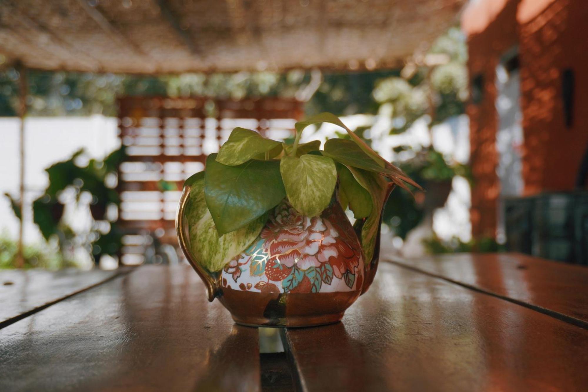 Serenity Lodge Ica Dış mekan fotoğraf