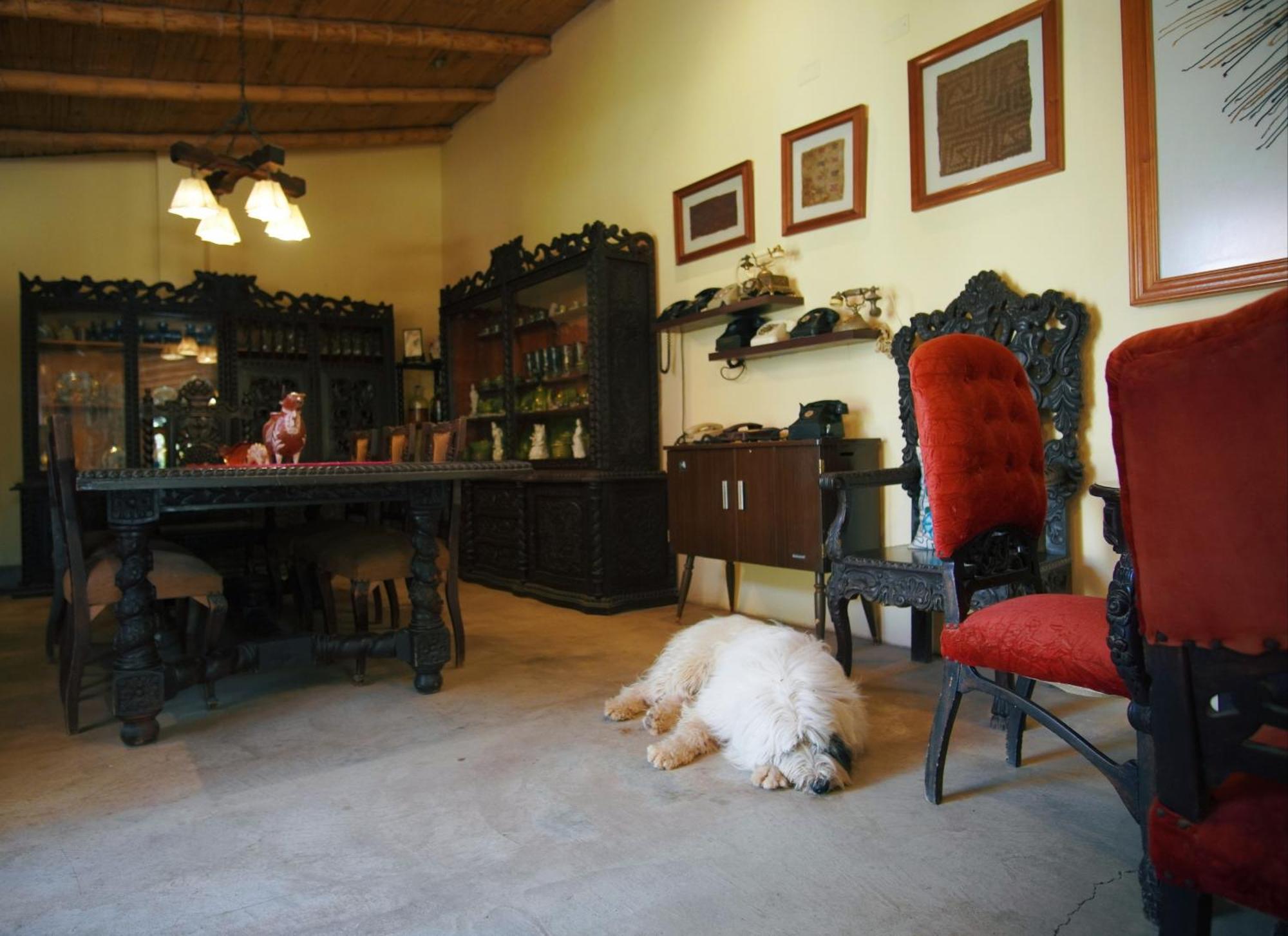 Serenity Lodge Ica Dış mekan fotoğraf